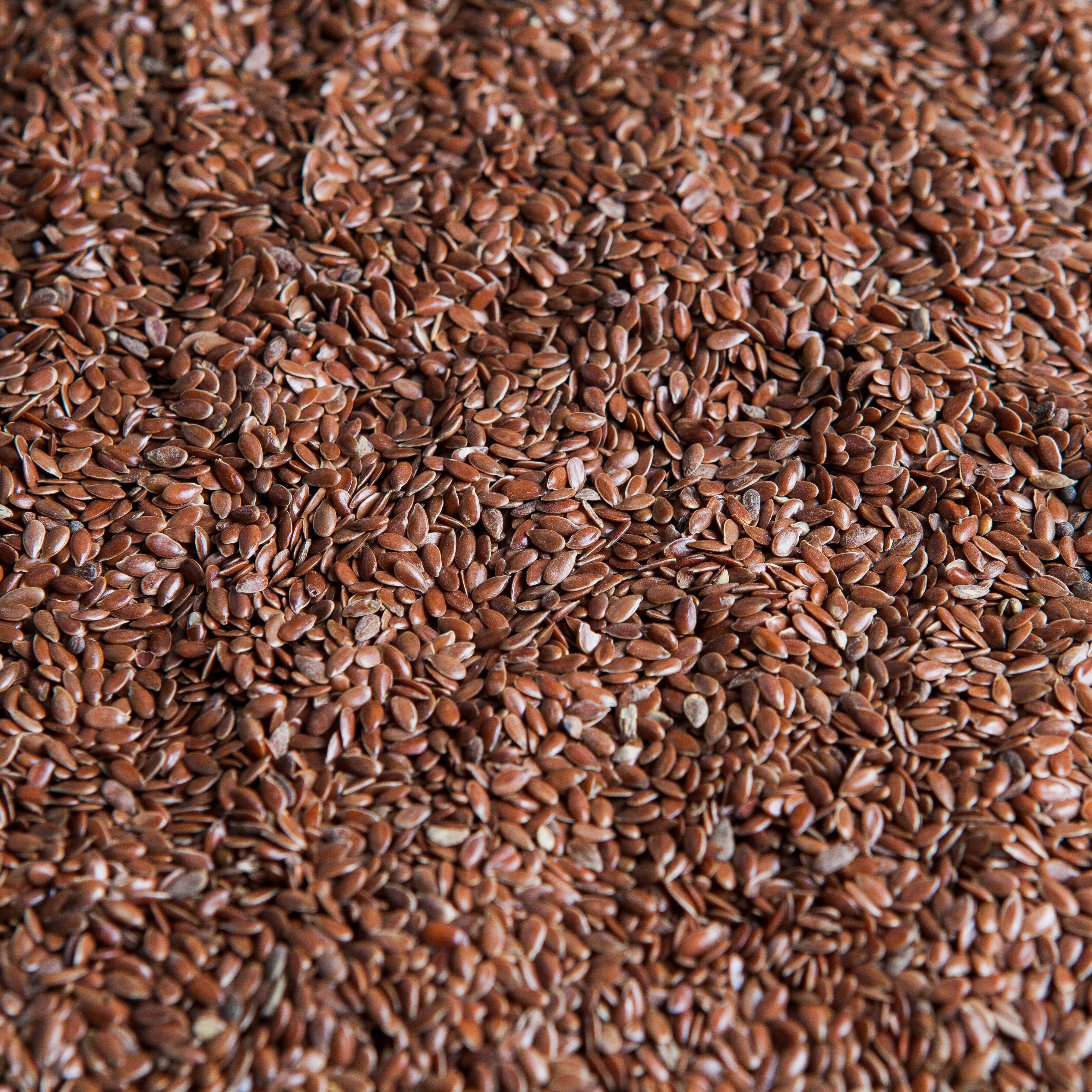 Flax Seeds