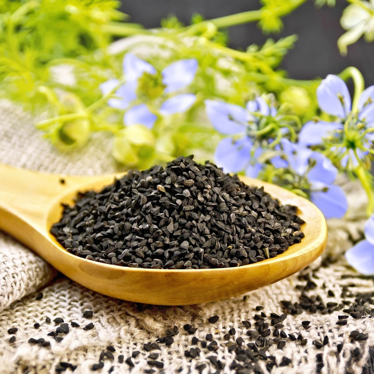 Nigella Seeds